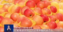 水果发霉了千万别吃！这份水果健康食用指南请收好