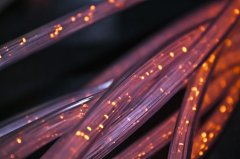 足迹里的政绩观：为官一任，造福一方